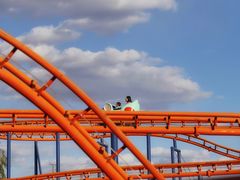 -霸王河欢乐世界