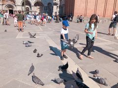 -圣马尔谷圣殿宗主教座堂