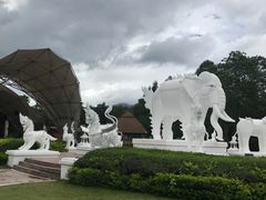 -清迈夜间动物园