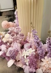 -东森自然美.INDIBA.美容SPA.皮肤管理