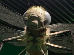 -杭州工艺美术博物馆
