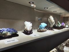 -陕西自然博物馆