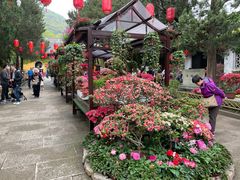 -无锡惠山寺