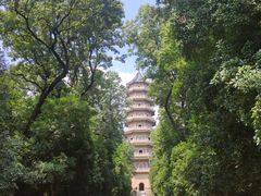 -灵谷景区