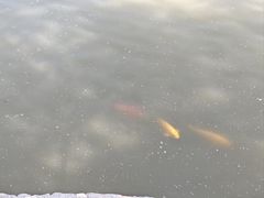 -中国农业博物馆
