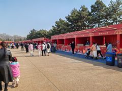 -汉长安城未央宫国家考古遗址公园