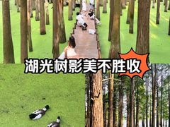 -青山湖景区