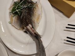 -稻香酒家·35年老字号(侨光店)