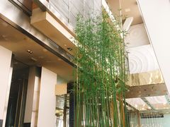 -上海柏悦酒店·世纪100牛排馆