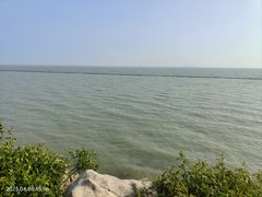 -贡湖湾湿地公园