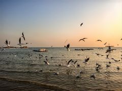 -老虎石海上公园