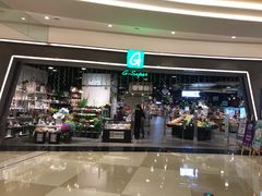 -棕榈MALL