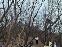 -紫金山山顶公园