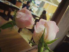 -1861意大利餐厅(文化广场店)