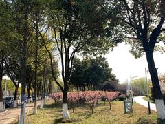 -南京信息职业技术学院
