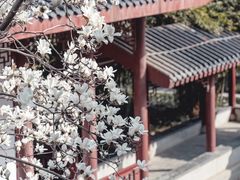 -堤角公园
