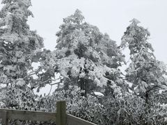 -西岭雪山大飞水景区