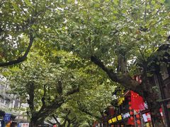 -清真.回香园(南街店)