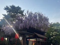-芭东小镇温泉