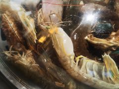 -大锅强·蒸海鲜青岛菜(吾悦广场店)