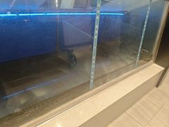 -有家酸菜鱼(苏州绿宝广场店)