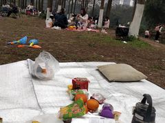 -重庆彩云湖湿地公园
