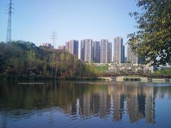 -重庆彩云湖湿地公园