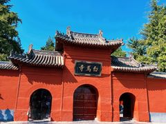 -洛阳白马寺
