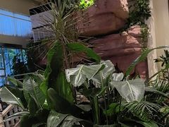 -金河半岛园林酒家(金融城店)