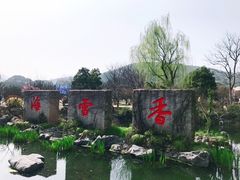 -香雪海