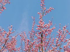 -钟山体育运动公园