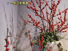 -溪岸路花鸟市场