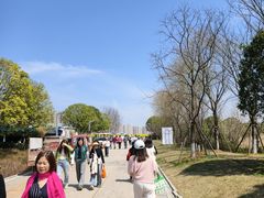 -洋湖国家湿地公园