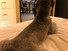 -太阳岛度假酒店