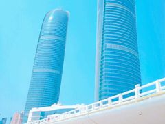 -演武大桥观景平台