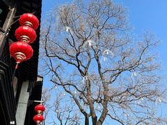 -香园茶社·金陵小灶(老门东店)