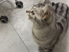-中农国际动物医院24小时·猫科·骨科·急重症中心