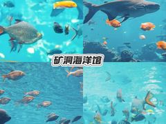 -长鹿旅游休博园
