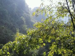 android_upload_pic-丹霞山风景名胜区