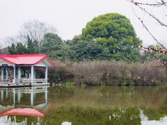 -太子山公园(园东路)