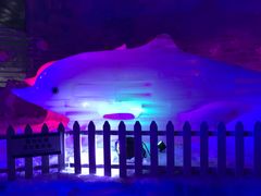 -世界之窗阿尔卑斯冰雪世界