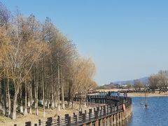 -苏州太湖湖滨国家湿地公园