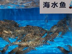 -盒马鲜生(富田新天地店)