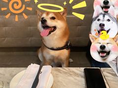 -the rug 飞毯 (朝阳公园店)
