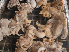 -浩运·海鲜青岛菜·海胆水饺(石老人店)