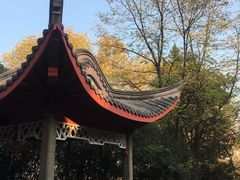 -菊花台公园