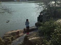 -白马涧龙池景区