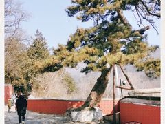 -潭柘寺景区