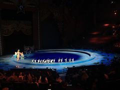 -珠海横琴长隆《卡卡虎奇遇记》