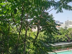 -教师之家赵家羊汤馆(东青龙街店)